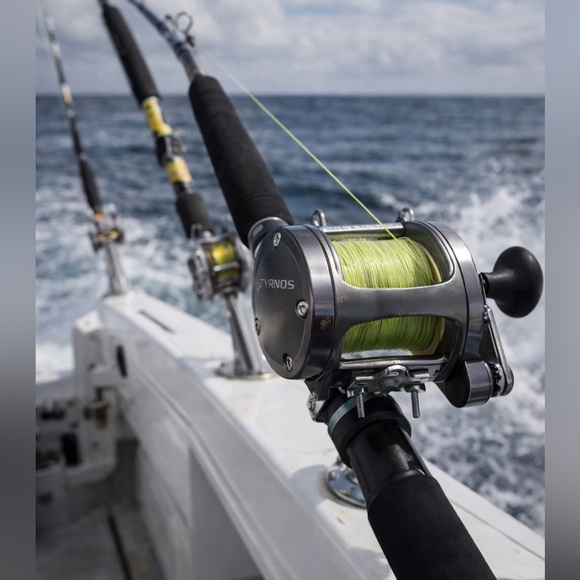 Shimano Other - Shimano Tyrnos saltwater fishing reel